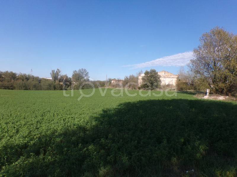 terreno agricolo in vendita a San Paolo di Jesi