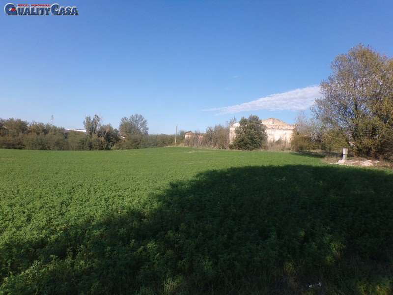 terreno agricolo in vendita a San Paolo di Jesi