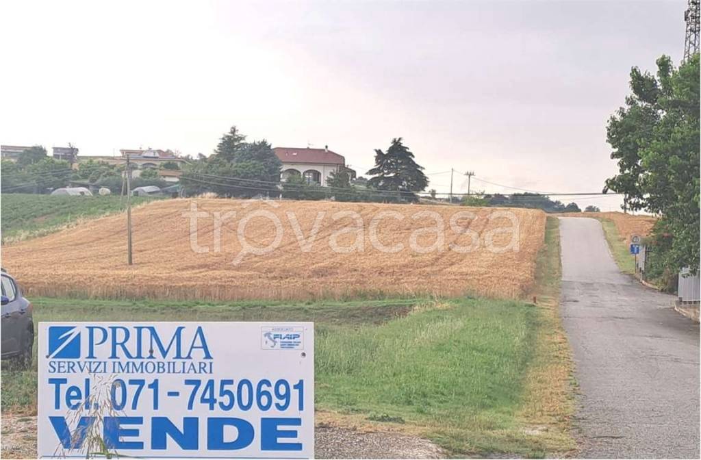 terreno agricolo in vendita a Santa Maria Nuova in zona Pradellona