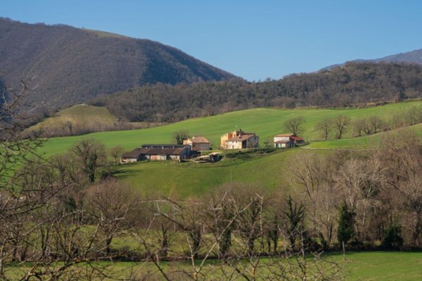 terreno agricolo in vendita a Sassoferrato in zona Gaville