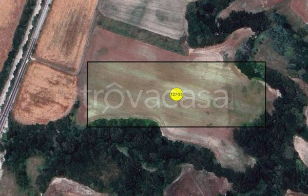 terreno agricolo in vendita a Sassoferrato