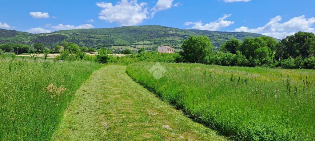casa indipendente in vendita a Sassoferrato in zona Serra San Facondino