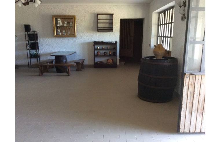 casa indipendente in vendita a Sassoferrato in zona Morello