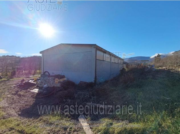 terreno agricolo in vendita a Sassoferrato
