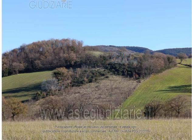 terreno agricolo in vendita a Sassoferrato