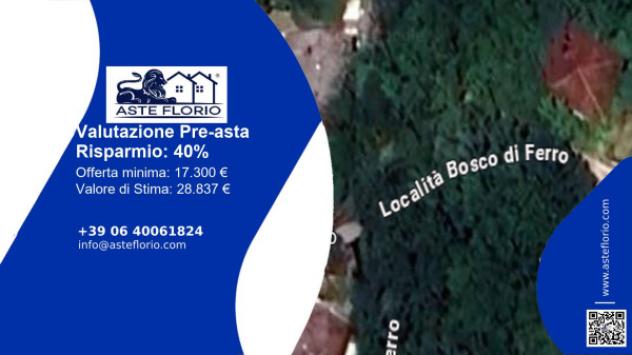 terreno agricolo in vendita a Sassoferrato