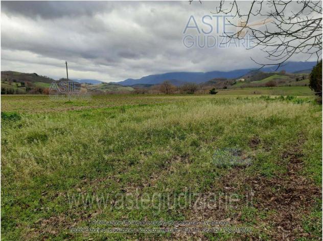 terreno agricolo in vendita a Sassoferrato