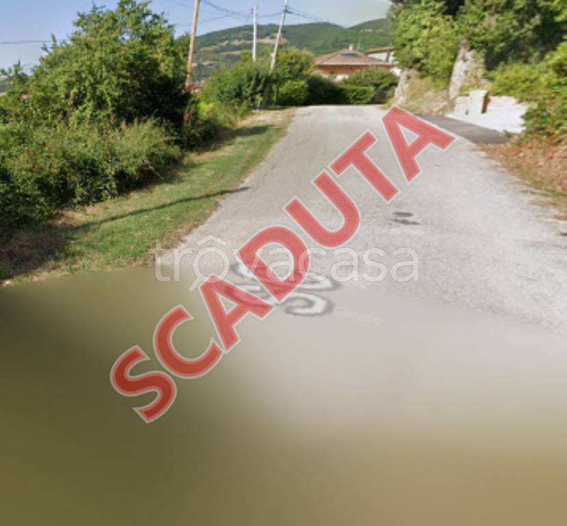 terreno agricolo in vendita a Sassoferrato