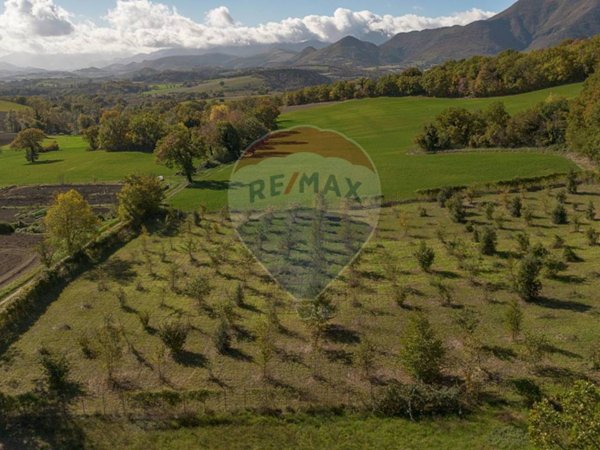 terreno agricolo in vendita a Sassoferrato in zona Catobagli