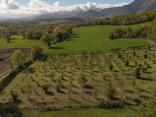 terreno agricolo in vendita a Sassoferrato in zona Catobagli