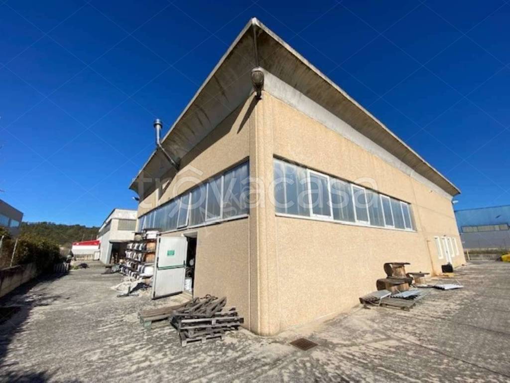 appartamento in vendita a Sassoferrato