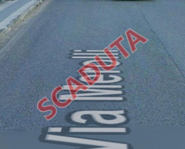 terreno agricolo in vendita a Sassoferrato