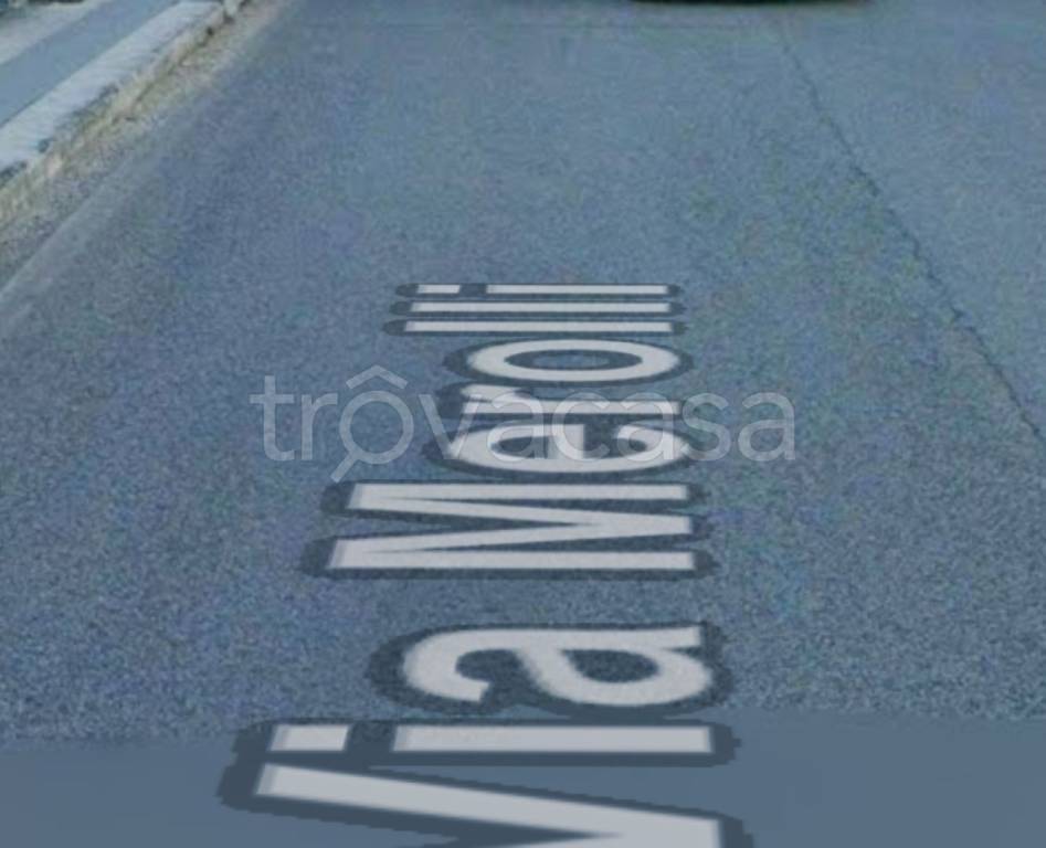 terreno agricolo in vendita a Sassoferrato