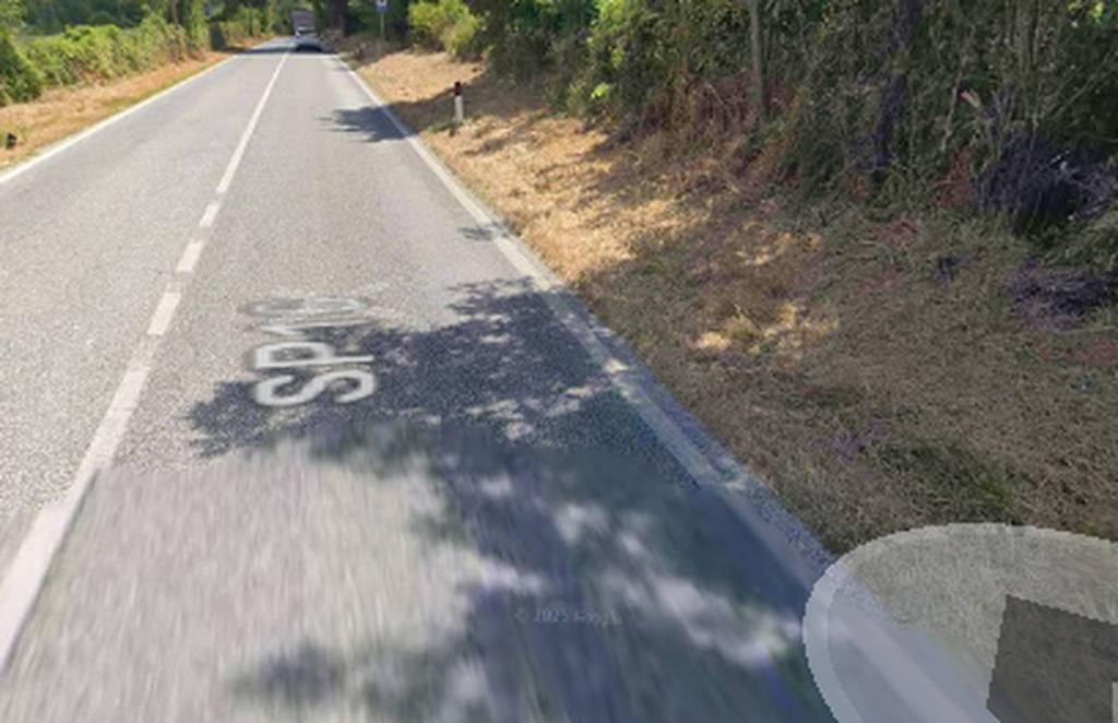 terreno agricolo in vendita a Sassoferrato