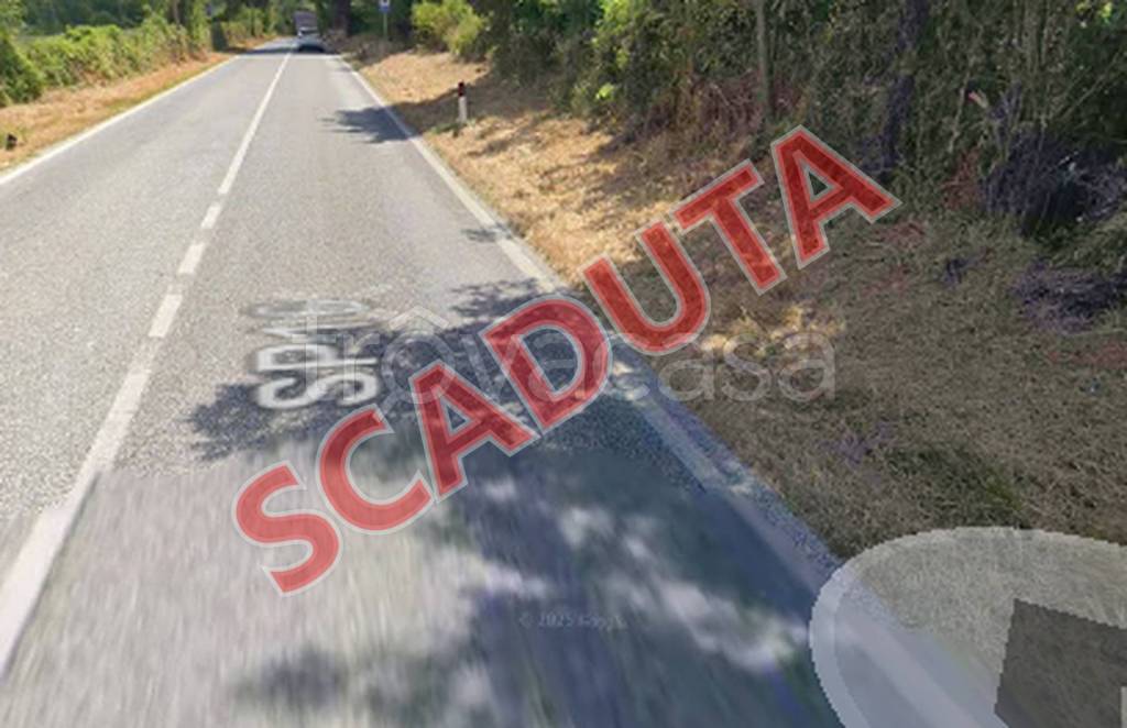 terreno agricolo in vendita a Sassoferrato