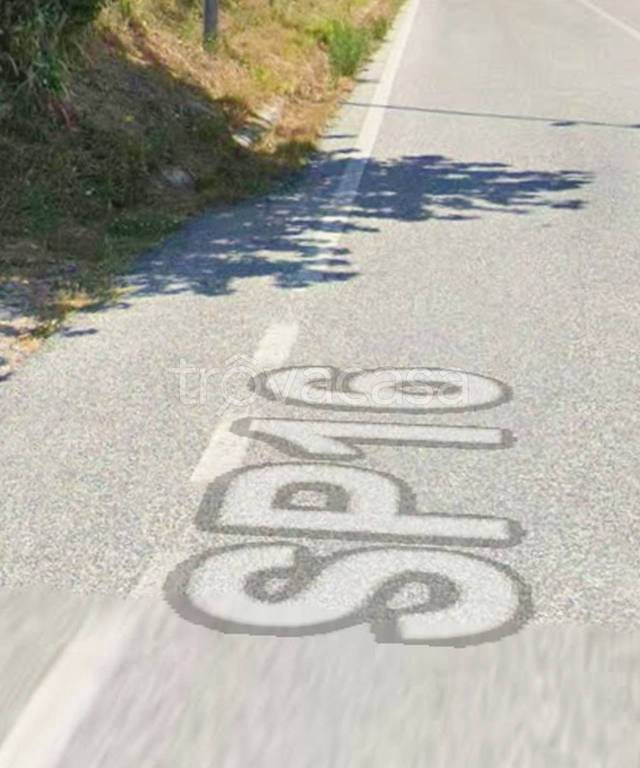 terreno agricolo in vendita a Sassoferrato