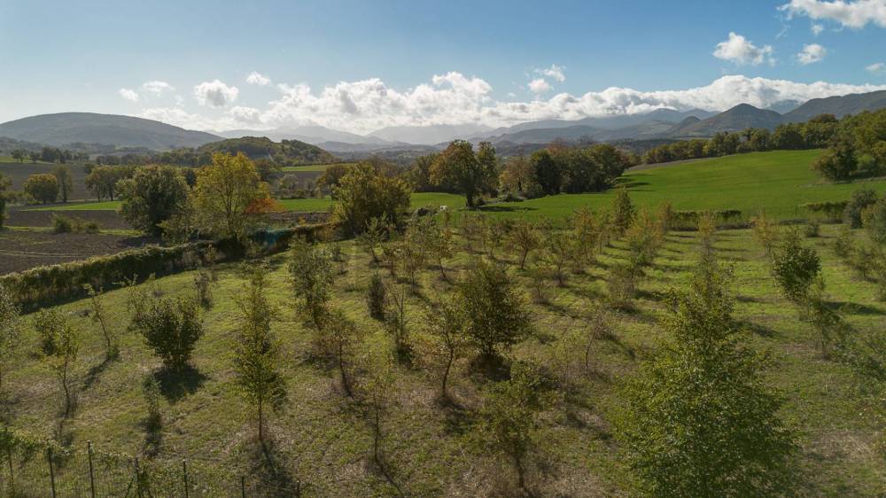 terreno agricolo in vendita a Sassoferrato in zona Catobagli