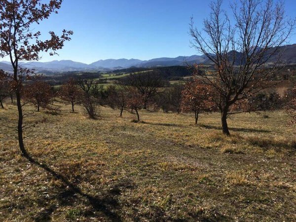 terreno agricolo in vendita a Sassoferrato in zona Borgo Sassoferrato