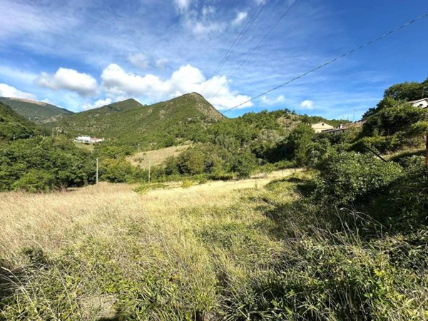 terreno agricolo in vendita a Sassoferrato in zona Liceto