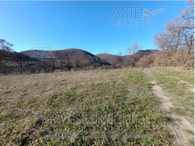 terreno agricolo in vendita a Sassoferrato