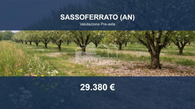terreno agricolo in vendita a Sassoferrato