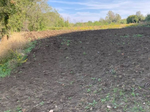 terreno agricolo in vendita a Senigallia