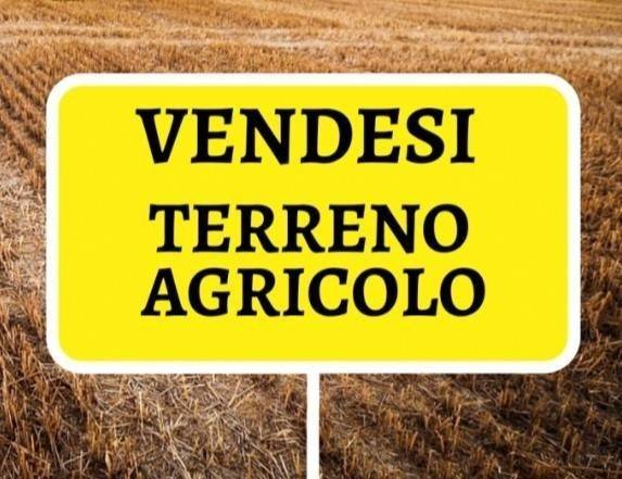 terreno agricolo in vendita a Senigallia in zona Vallone
