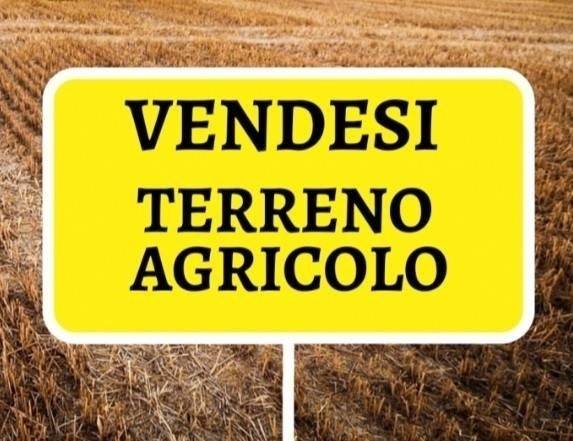 terreno agricolo in vendita a Senigallia in zona Montignano