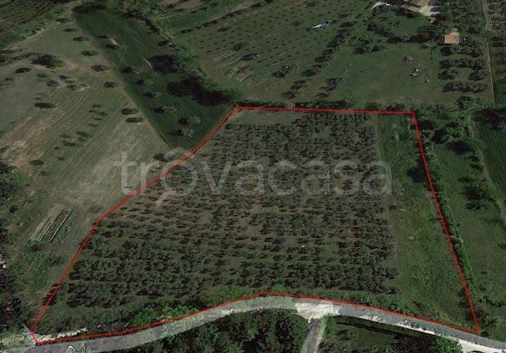 terreno agricolo in vendita a Senigallia in zona Scapezzano