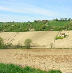 terreno agricolo in vendita a Senigallia