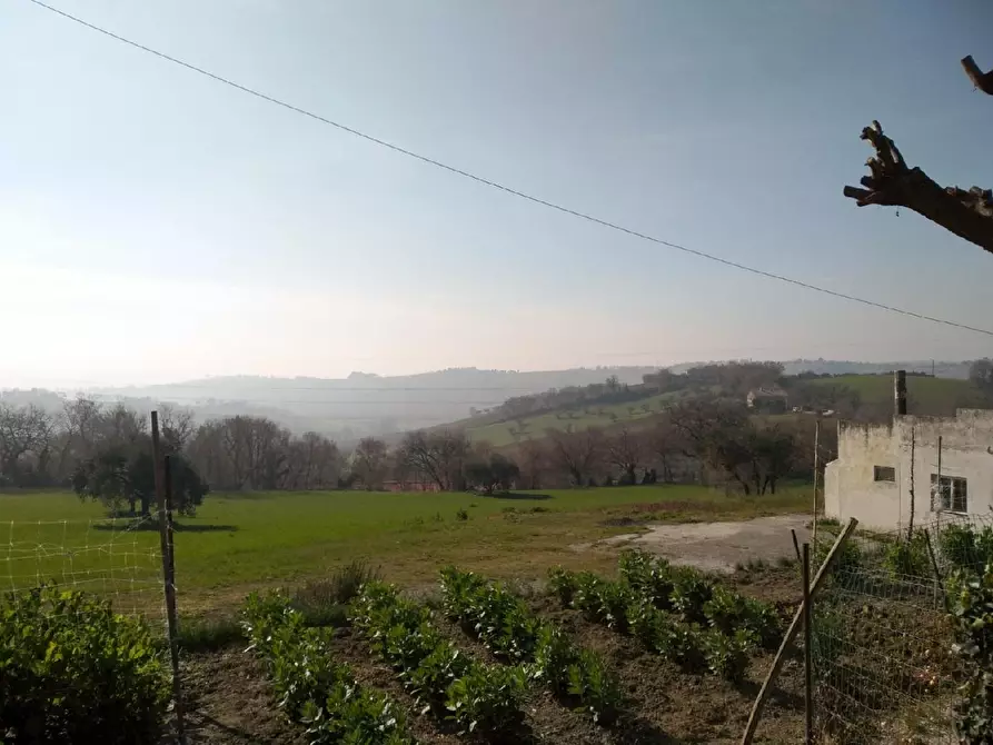 terreno agricolo in vendita a Senigallia in zona Scapezzano
