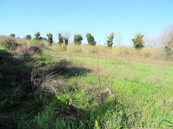 terreno agricolo in vendita a Senigallia in zona Borgo Passera