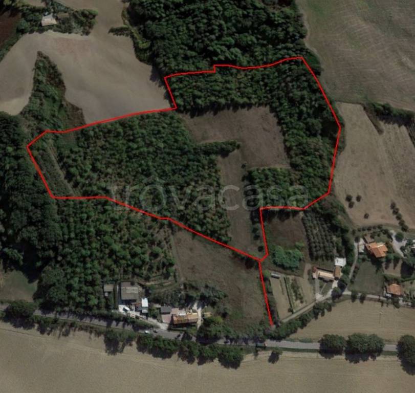 terreno agricolo in vendita a Senigallia