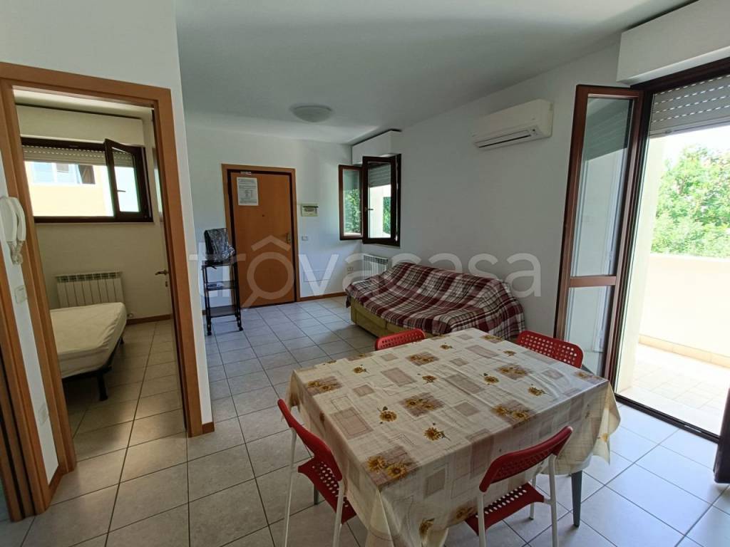 appartamento in vendita a Senigallia