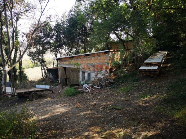 terreno agricolo in vendita a Senigallia in zona Scapezzano
