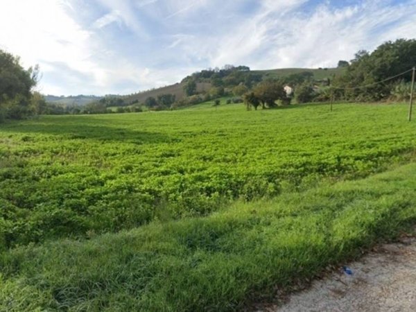 terreno agricolo in vendita a Senigallia in zona Vallone