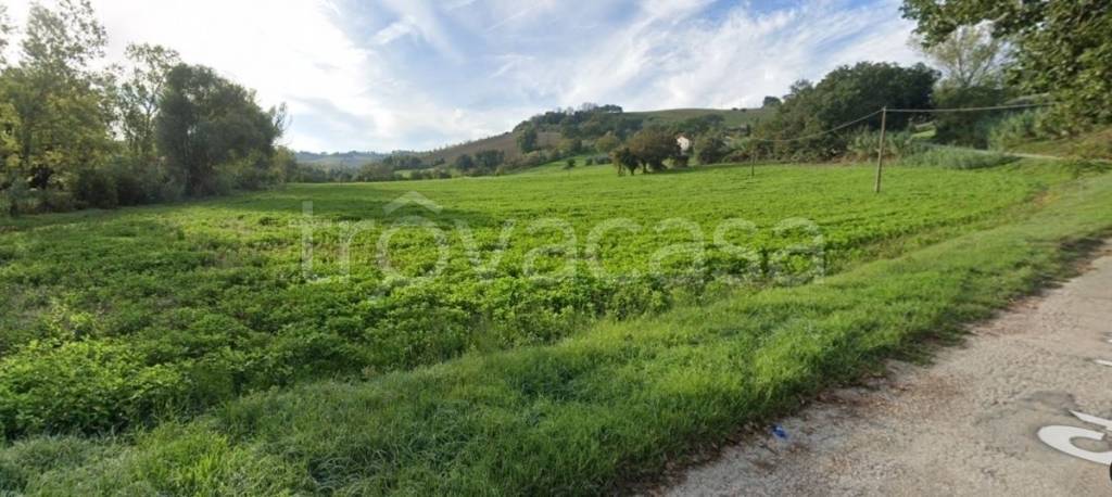 terreno agricolo in vendita a Senigallia in zona Vallone