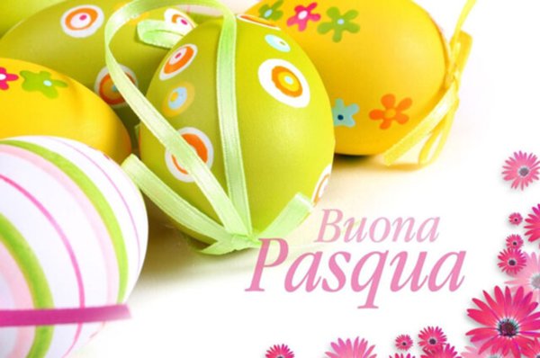 appartamento in vendita a Senigallia