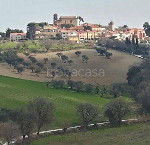 terreno agricolo in vendita a Senigallia