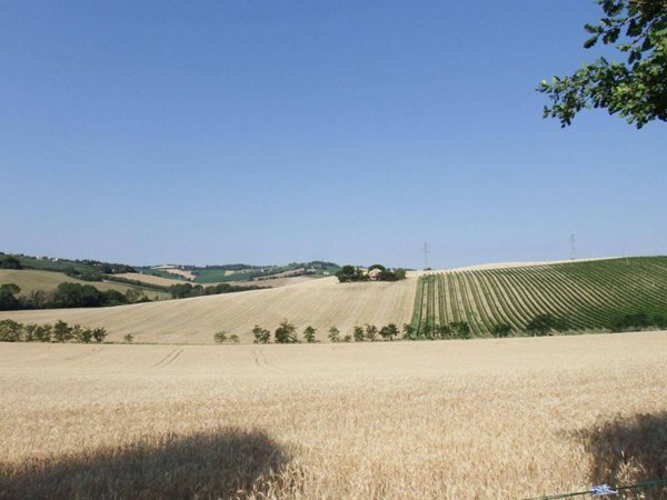 appartamento in vendita a Senigallia