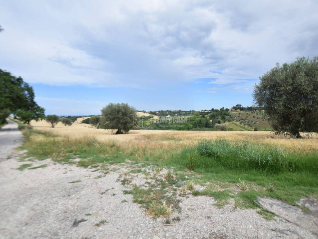 terreno agricolo in vendita a Senigallia in zona Scapezzano