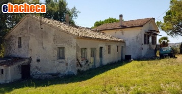 appartamento in vendita a Senigallia