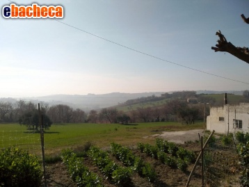 terreno agricolo in vendita a Senigallia in zona Scapezzano