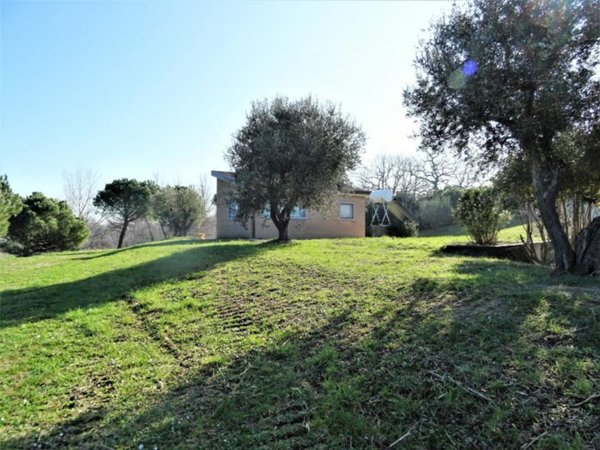 terreno agricolo in vendita a Senigallia in zona Sant'Angelo