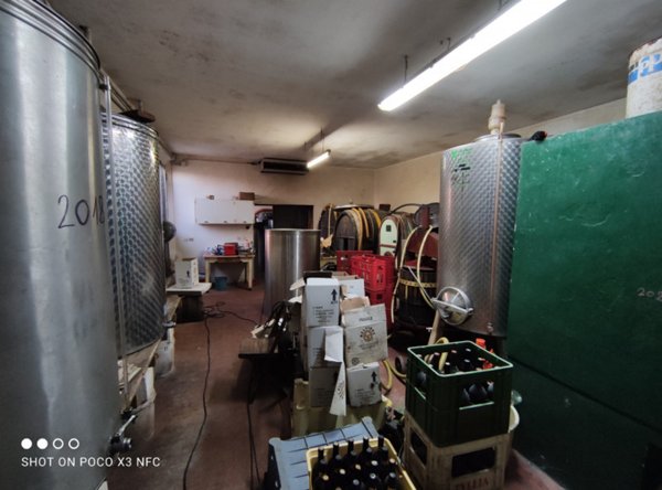 casa indipendente in vendita a Senigallia in zona Cesano