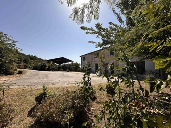 casa indipendente in vendita a Senigallia in zona Scapezzano