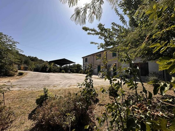 casa indipendente in vendita a Senigallia in zona Scapezzano