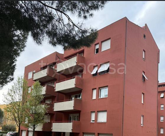 appartamento in vendita a Senigallia