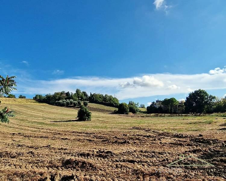 appartamento in vendita a Senigallia