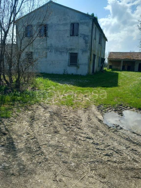 casa indipendente in vendita a Senigallia